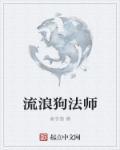 流浪法师技巧