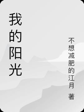 我的阳光之夜一共有几集